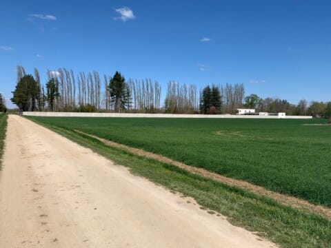 Construction muret le long d'un champ - SARL Rouget Sébastien